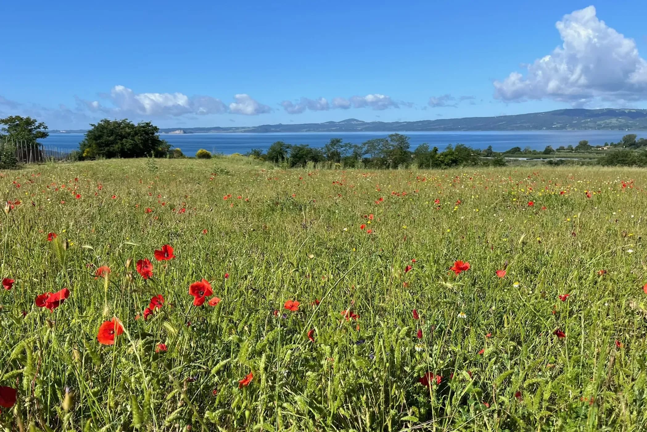 Impressionen zum La Montagnola - 4